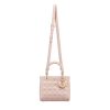 Medium Lady Dior Bag